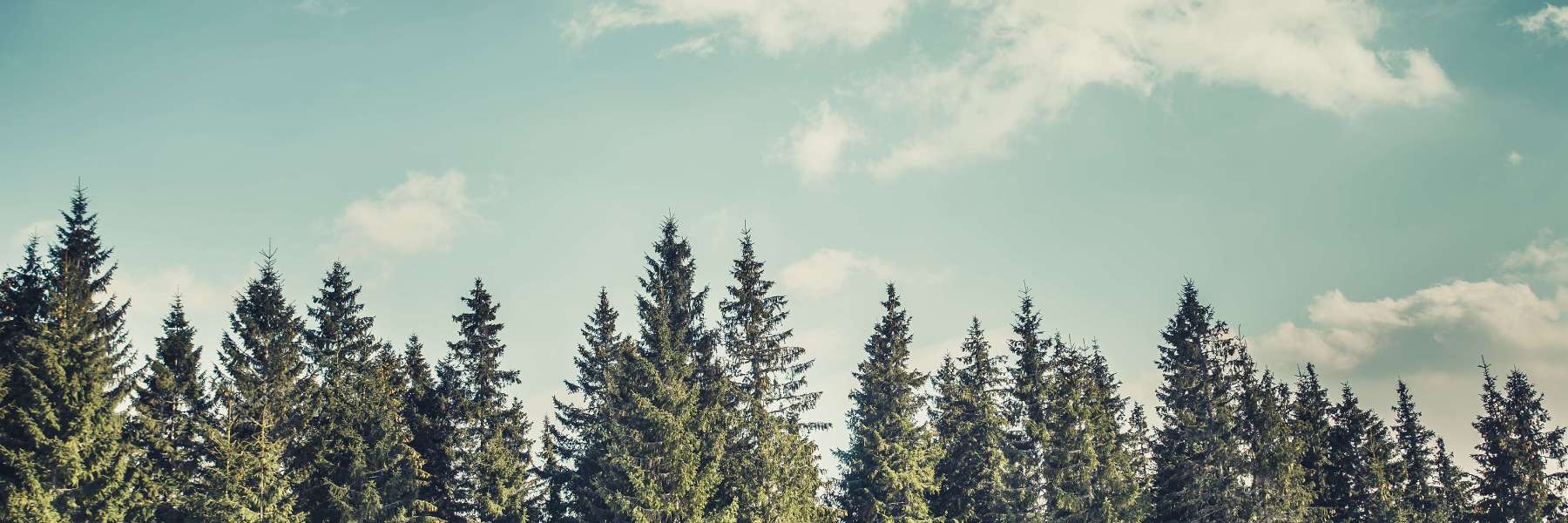 Service CTA Test | Dentist